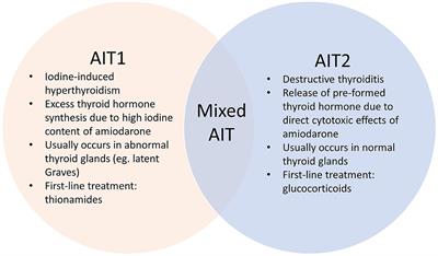 Frontiers | Amiodarone Induced Thyrotoxicosis And Treatment ...